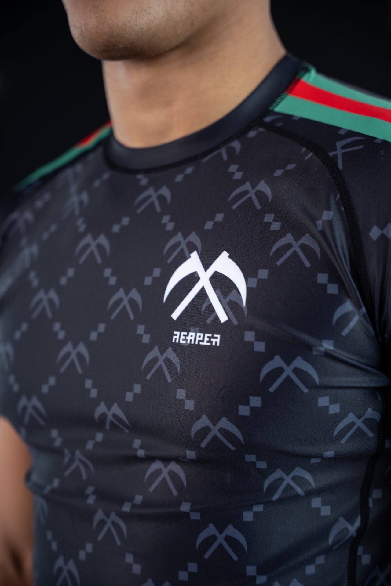 IL MIETITORE RASHGUARD 2.0